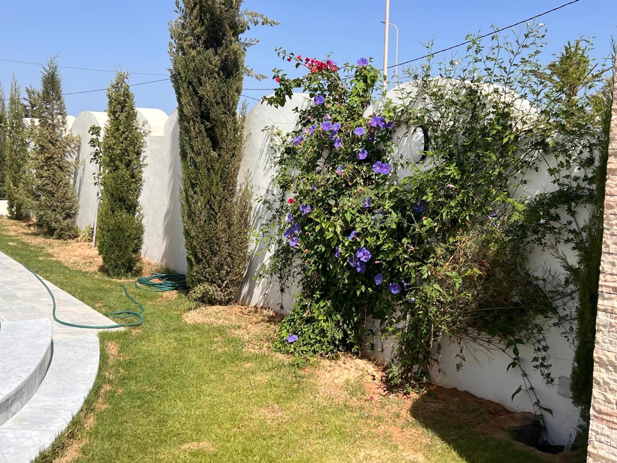 Villalina Haut Standing Djerba Ajim Екстериор снимка